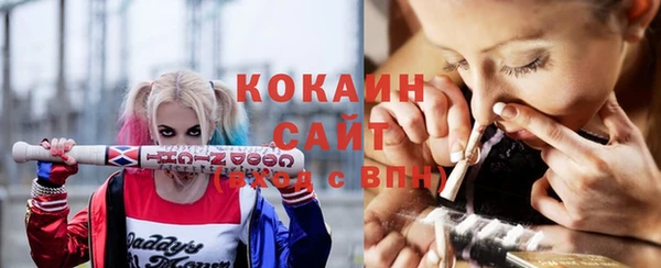 крисы Арсеньев