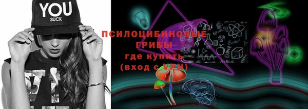 крисы Арсеньев
