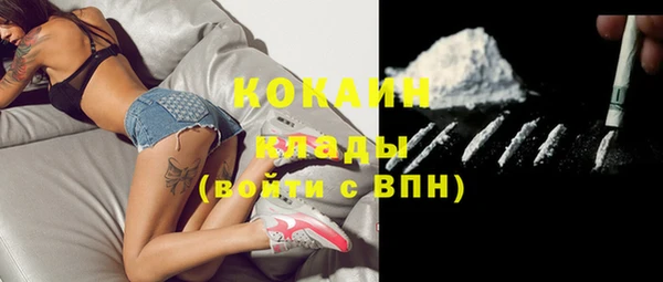 крисы Арсеньев
