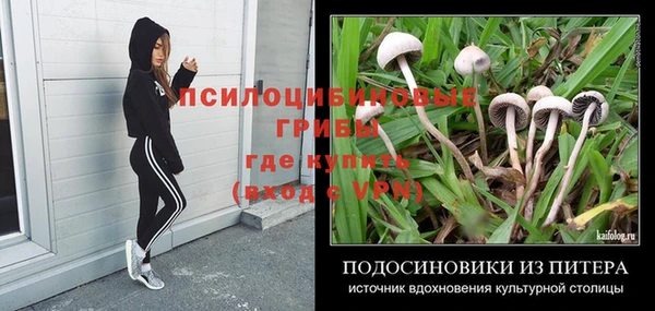 спиды Армянск