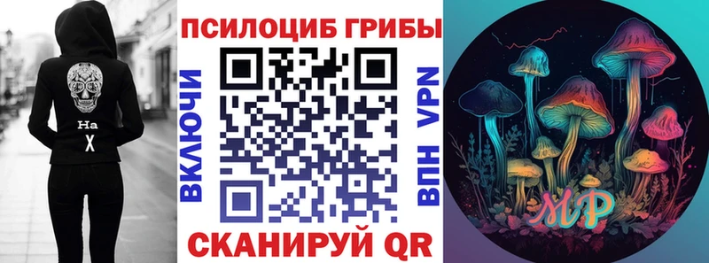 Псилоцибиновые грибы прущие грибы где купить Жуковка