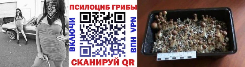 Галлюциногенные грибы ЛСД Жуковка