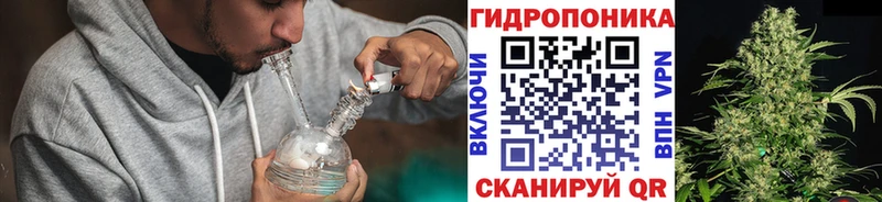 закладка  Жуковка  Каннабис Amnesia 